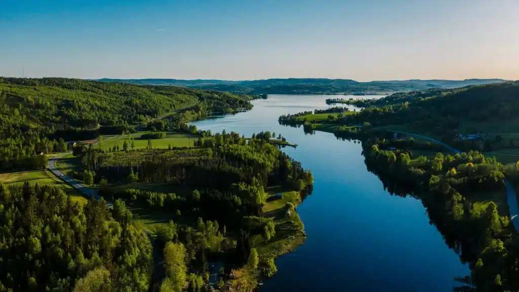 Binar Technology®|Sustainability_Forest_Sweden